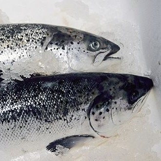 新發(fā)地三文魚案板檢測出新冠病毒，，北京多家超市連夜下架三文魚，北京新增三個病例